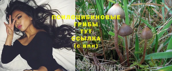 mdma Арсеньев